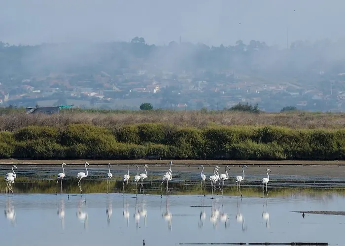 Apartamento Quinta Rosas - And Mountain Buarcos